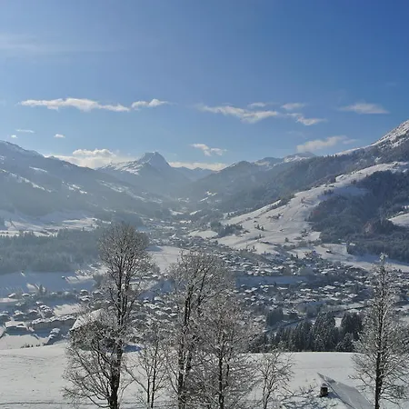 Hofwimmer Kirchberg in Tirol